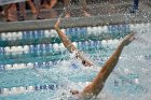Swimming & Diving vs Babson  Swimming & Diving vs Babson College. - Photo by Keith Nordstrom : Wheaton, Swimming